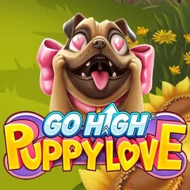 Go High Puppy Love game by RubyPlay – logo hosted on Cowboy Spin Casino